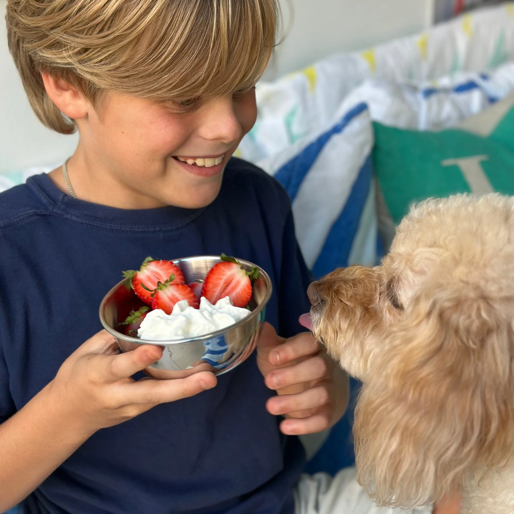 Essentials Snack Bundle - Image 7